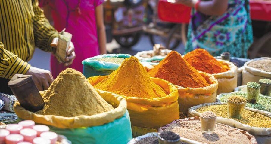 Agra: Indian Food Private Cooking Class - Is $27 a fair price?