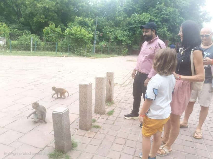 Agra: Monkey Safari Guided Walking Tour - Timing matters more than speed