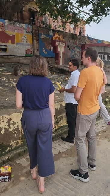 Agra: Monkey Safari Guided Walking Tour - Is $54 a fair price?