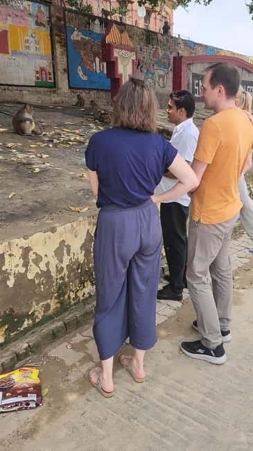 Agra: Monkey Safari Guided Walking Tour - Should you book the Agra Monkey Safari?