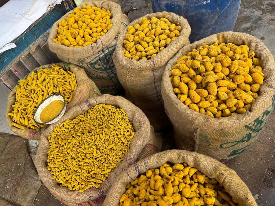 Agra: Street Food Tour with Spice Market on Tuk-Tuk Ride - Is $16 good value?