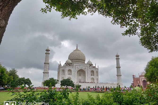 Book Govt Approved Guide for Taj Mahal & Agra fort - Work out the full cost, not just the $25