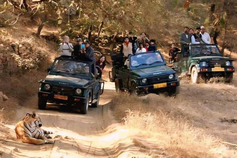 Canter Safari: Skip-the-line Entry Ranthambore Tiger Reserve - The tiger search is the headline, not a promise