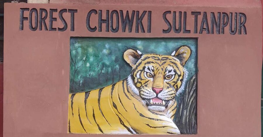 Delhi: Private 3-Days Jaipur & Ranthambore Tiger Safari Tour - Key points before you book
