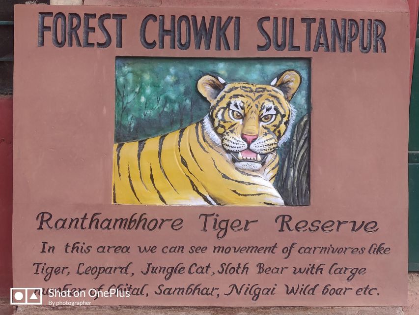 Delhi: Private 3-Days Jaipur & Ranthambore Tiger Safari Tour - What this three-day route is really like