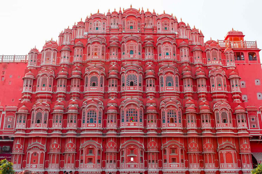 Delhi: Private 3-Days Jaipur & Ranthambore Tiger Safari Tour - Day two: two shared safaris in Ranthambore