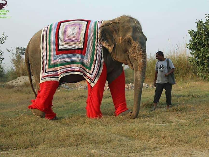 Delhi: Private 3-Days Jaipur & Ranthambore Tiger Safari Tour - What the $126 starting price may mean