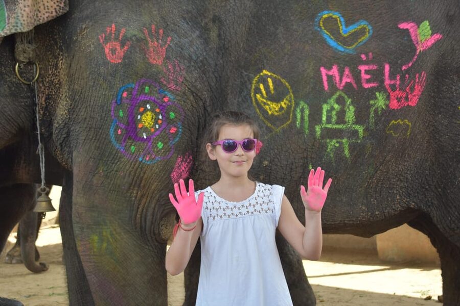 Elefun Best Elephant Sanctuary in Jaipur - What the three-hour visit feels like