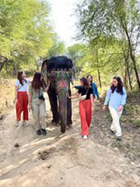Elephant Sanctuary for Best elephant experience in Jaipur - What to know before you go