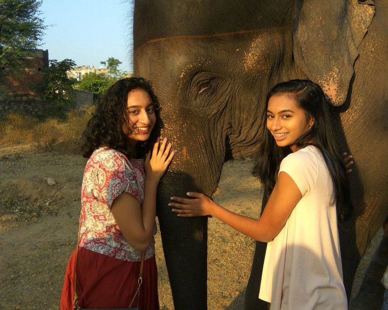 Elephant Sanctuary for Best elephant experience in Jaipur - FAQ