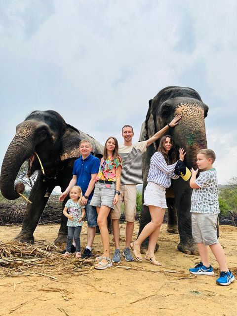 Elephant Sanctuary for Best elephant experience in Jaipur - At the sanctuary: food, company, and learning