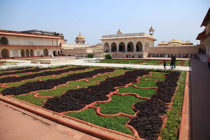 From Agra: Half Day Sunrise Tour of Taj Mahal with Agra Fort - Who should book this sunrise tour?
