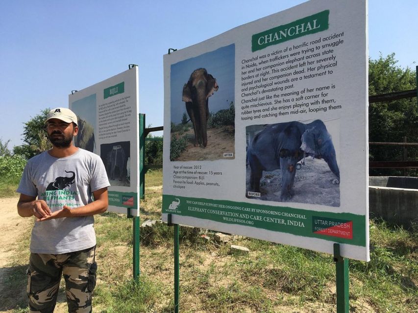 From Agra: Visit to Wildlife SOS Elephant Conservation Trip - A few things to know before you go