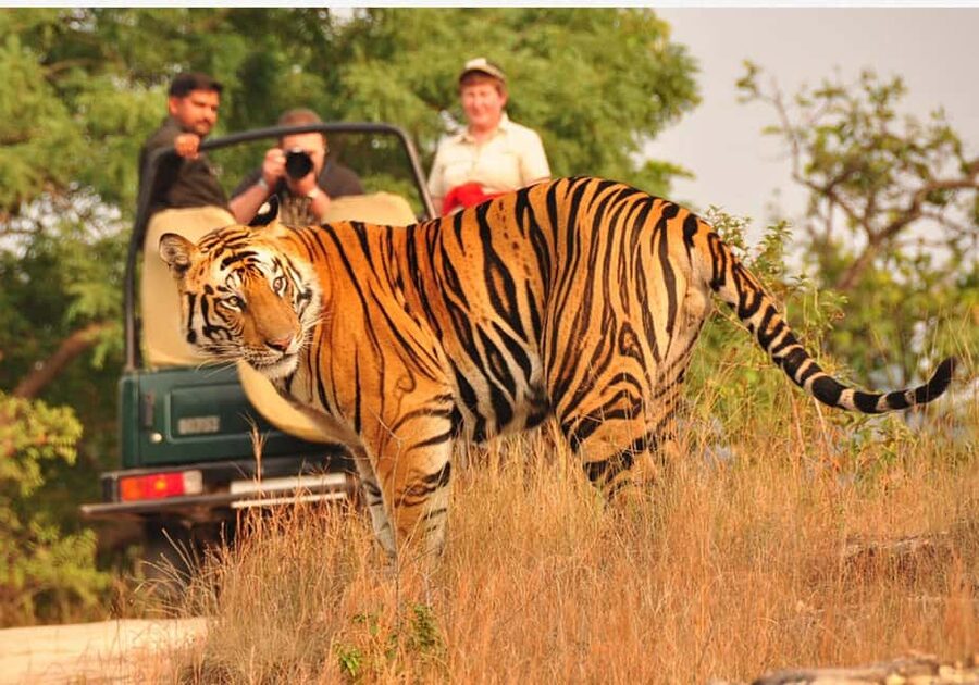 From Delhi: 6-Day Golden Triangle Tour with Ranthambore - At a glance