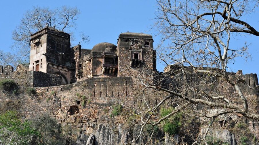 From Delhi: 6-Day Golden Triangle Tour with Ranthambore - What the private format adds