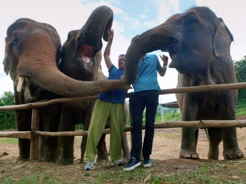 From Delhi: Sunrise Taj Mahal Tour With Elephant SOS - What the price buys, and what to confirm