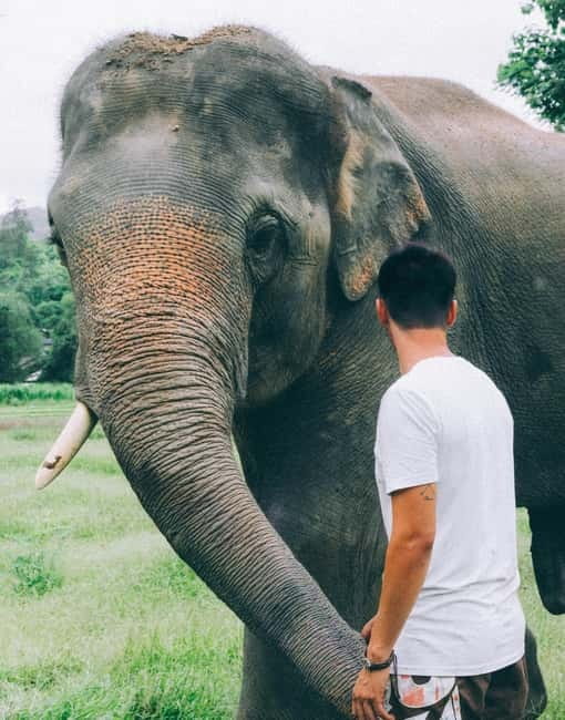 From Delhi: Sunrise Taj Mahal & visit Elephant Conservation - At a glance