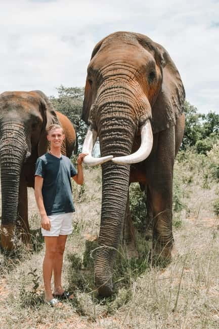 From Delhi: Sunrise Taj Mahal & visit Elephant Conservation - Wildlife SOS offers a purposeful change of pace