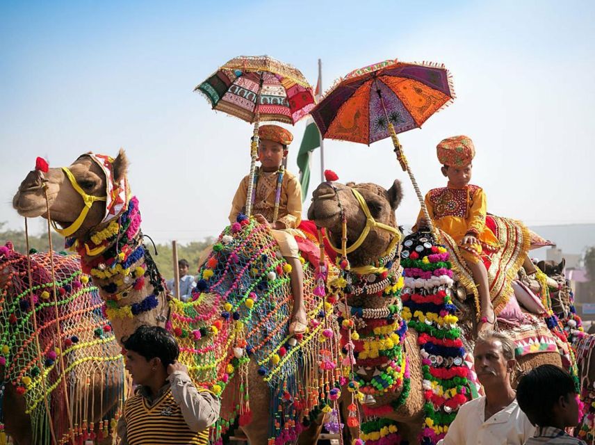 From Jaipur: One-Day Trip From Jaipur to Pushkar - The bazaar brings the day down to street level