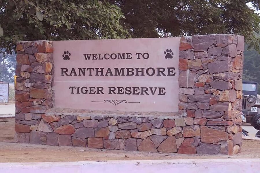 From Jaipur: Praivte Ranthambore Tour By Jeep Canter Safari - The safari is shared, even when your car is private