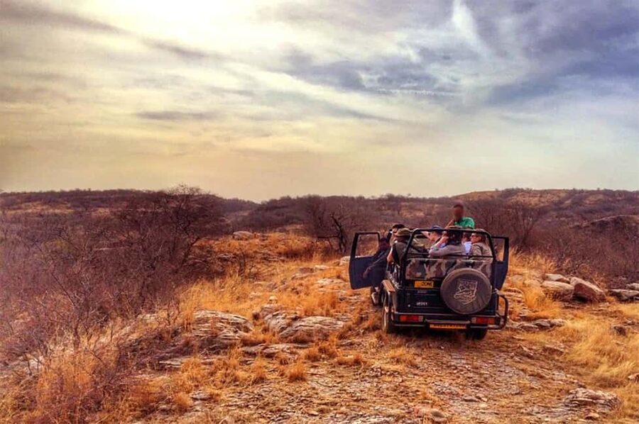 From Jaipur: Praivte Ranthambore Tour By Jeep Canter Safari - The park ride and its changing schedule