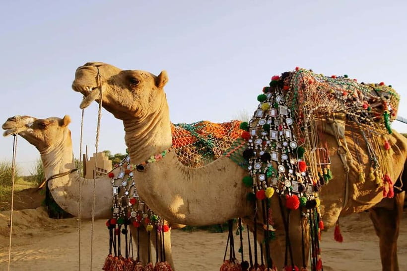 From Jaipur : Private Ajmer Pushkar Tour by Cab - Ajmer’s shrine and the final stop