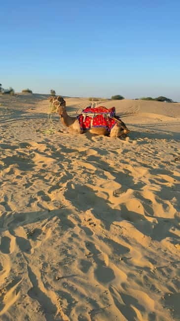 From Jaipur : Private Ajmer Pushkar Tour by Cab - Who should book this day trip