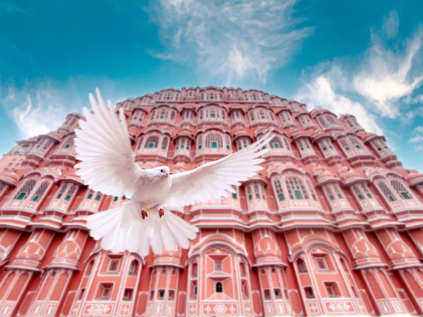 From Jaipur: Private Amber Fort, Jal Mahal and More Car Tour - Jal Mahal: a short pause by the water