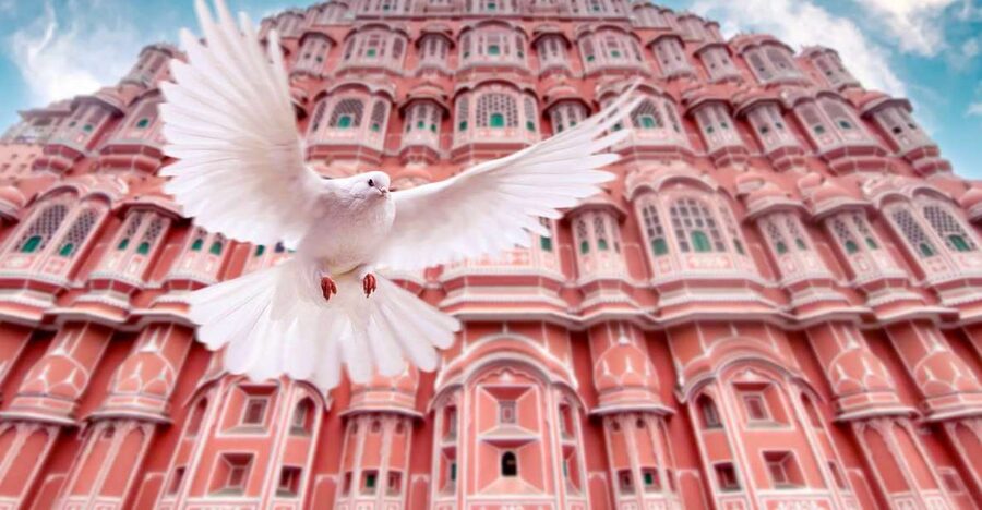 From Jaipur: Private Amber Fort, Jal Mahal and More Car Tour - Lunch, with shopping as a possible extra