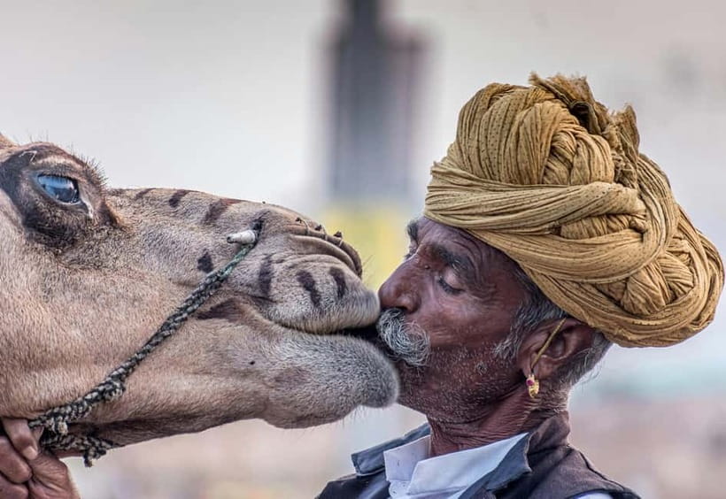 From Jaipur: Pushkar and Ajmer Private Day Trip - Two sacred towns, one long day from Jaipur
