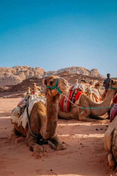 Pushkar and Ajmer Private Day Trip