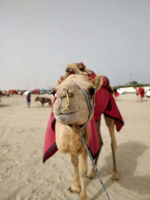 From Jaipur: Pushkar and Ajmer Private Day Trip - Continuing to Ajmer’s shrine
