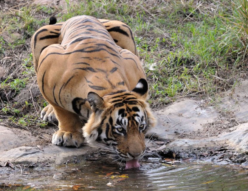 From Jaipur: Ranthambore Tour with Cab - The long road from Jaipur to Ranthambore