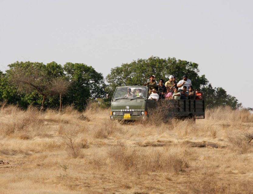From Jaipur: Ranthambore Tour with Cab - What the $127 price covers
