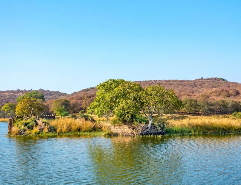 From Jaipur: Ranthambore Tour with Cab - FAQ
