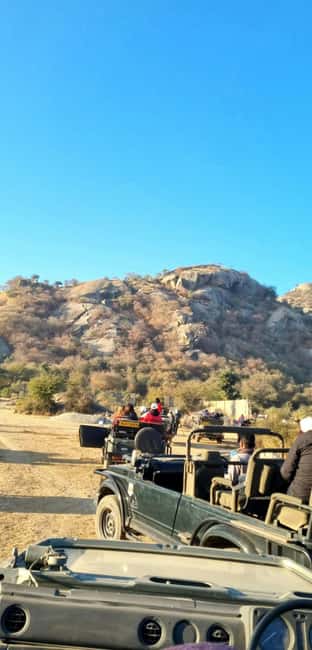From Jaipur: Sariska National Park Day trip with Safari - Who will get the most from Sariska