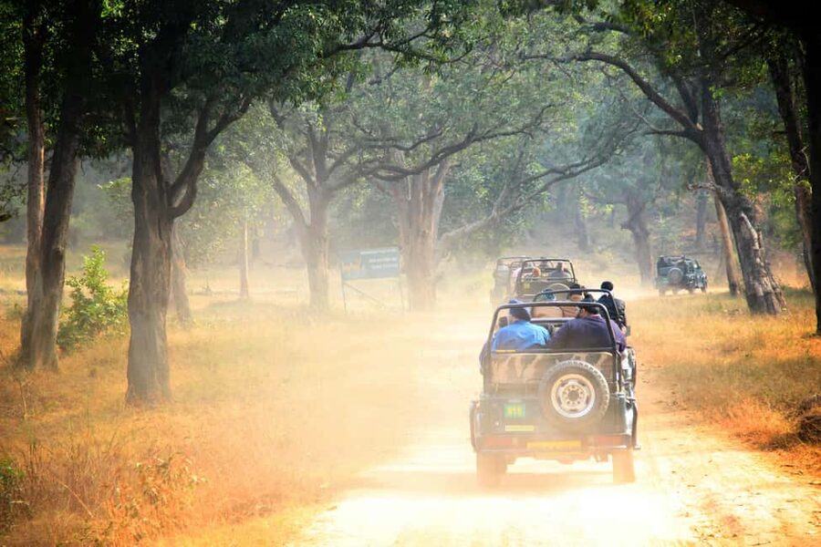 From Jaipur: Sariska National Park Day trip with Safari - FAQ