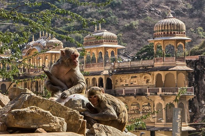 Full-Day Private City Tour of Jaipur - Royal Gaitor: a quieter stop worth confirming