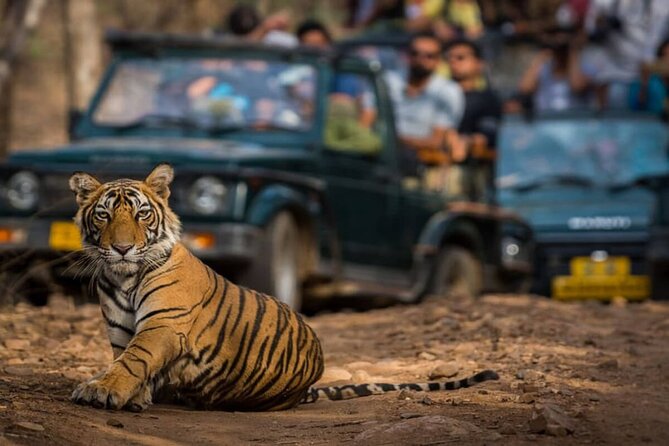 Golden Triangle & Ranthambore: 4-Day Private Tour from Delhi - Four days that connect India’s headline sights