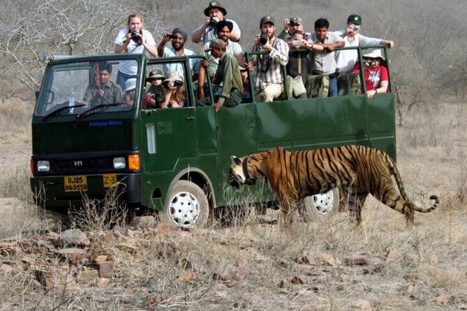 Golden Triangle & Ranthambore: 4-Day Private Tour from Delhi - Practical details that can change your route