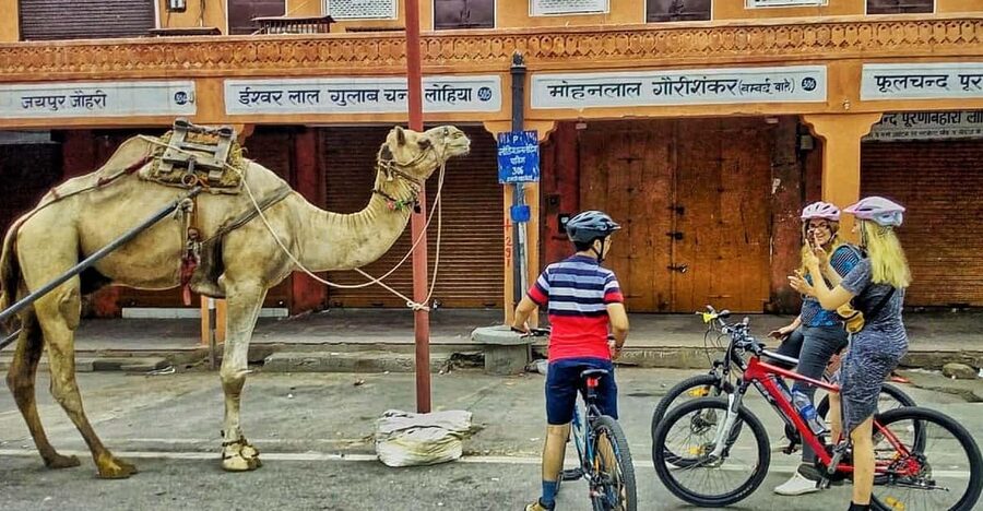 Jaipur: 3-Hour Morning Bike Tour of Jaipur Old City - What the $28 price gets you
