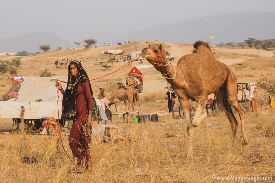 Jaipur: Ajmer & Pushkar Day Trip with Lunch & Camel ride - A day built around two very different holy towns