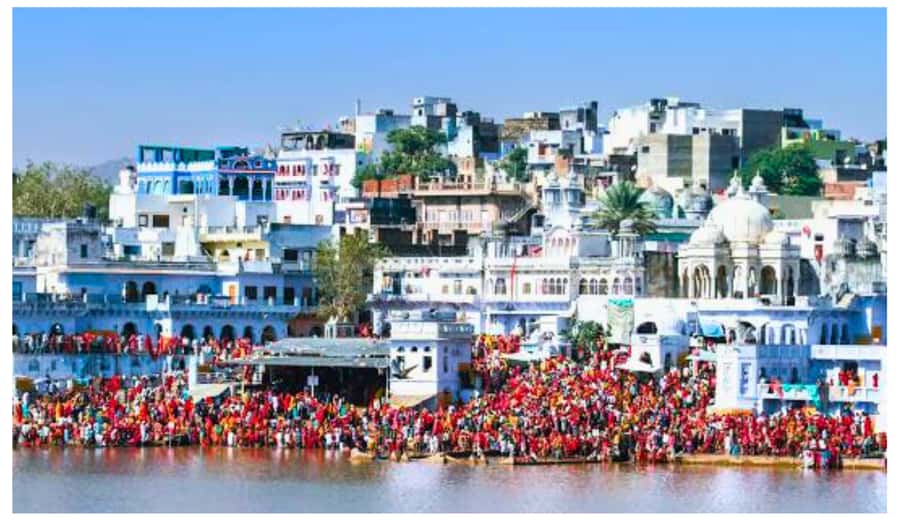 Jaipur: Ajmer & Pushkar Day Trip with Lunch & Camel ride - Who should book this day trip?