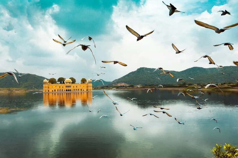 Jaipur: Amber Fort, Stepwell & Jal Mahal with Pickup - The points that make this tour useful