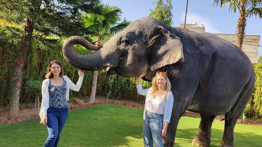 Jaipur Elephant Experience: Bond, Connect, and Learn - Visiting the shelter and meeting mahout families