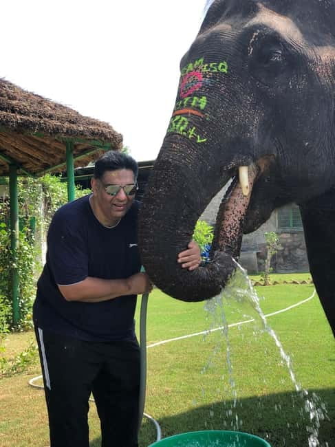 Jaipur: Elephant Interaction Tour - Practical details before you book