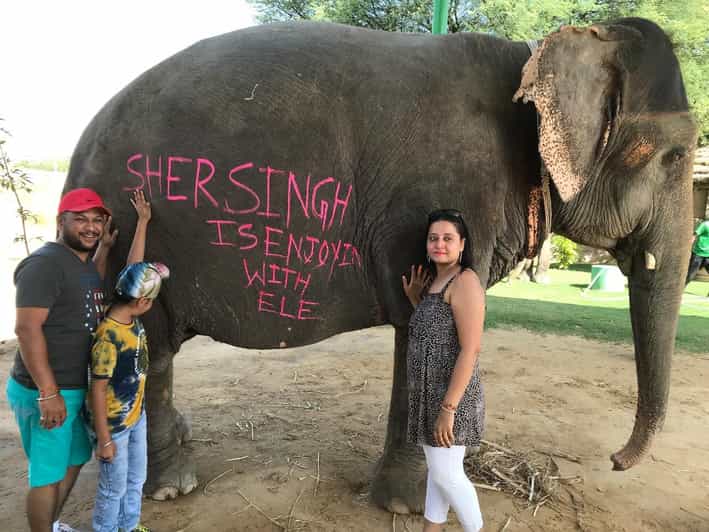 Jaipur: Elephant Interaction Tour - A close encounter, without a ride