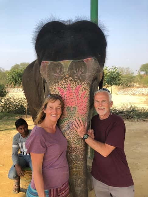 Jaipur: Elephant Interaction Tour - Meeting an elephant at its pace