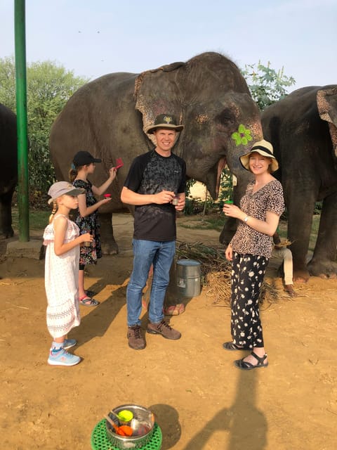 Jaipur: Elephant Interaction Tour - Feeding, with a lesson in elephant appetites