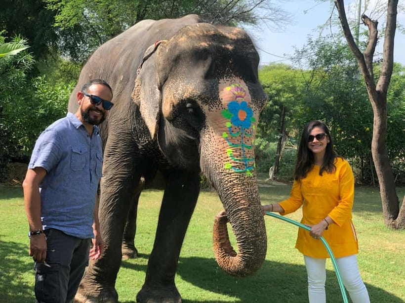 Jaipur: Elephant Interaction Tour - Pickup in Jaipur, then time at the Elephant Village